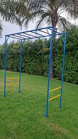 Double Swing Monkey Bars